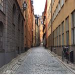 Mark Hodges - @harkmodges - Instagram