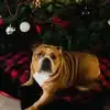 Danielle Mark Hodgin - @danielle.mark.hod - TikTok