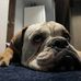Mark Hoeffler Jr. - Facebook