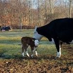 Mark Holbrook - @mark.holbrook.3572 - Instagram