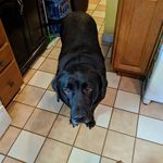 mark holbrook - @holbrook978 - Instagram