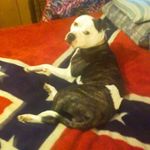 Mark Holbrook - @holbrookm33 - Instagram