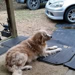 Mark Holloway - @mark.holloway.754 - Instagram