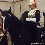 Mark Holt - @markholt980 - Instagram