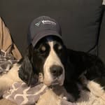 Mark Holtz - @markholtz943 - Instagram