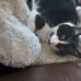 Mark Hooper - Facebook