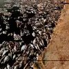 Mark Hopper - @mark.hopper22 - TikTok