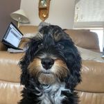 Mark Hopping - @fulhaman - Instagram