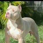 @mark.horner - Instagram
