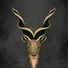 @Markhor N - @markhor.n - TikTok
