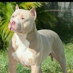 @mark.horner - Instagram