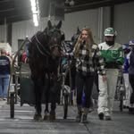 Mark Horner - @markhornerstable - Instagram