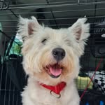 Mark Horner - @mark_horner27 - Instagram