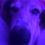 Mark houck - @user1453644853 - Instagram