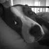 Mark Hovanec - @markhovanec - TikTok