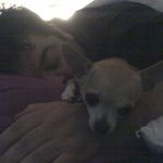 Mark Hovsepian - @bigdaddy96701 - Instagram