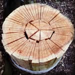 Meifod , Mid Wales - @markhowlettwoodcraft - Instagram