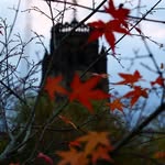 Mark Howden - @myviewsfromtheafternoon - Instagram