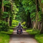 Mark Howe - @markhowe565 - Instagram