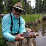 Mark Hower - @howermark - Instagram