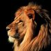Mark Howery - Facebook