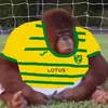 MarkHowes - @markhowes_ - TikTok