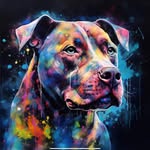 Mark Hoyne - @mark.hoyne - Instagram