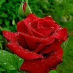 Mark Hren Atinta - Facebook