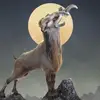 Markhor么Malik - @markhor_malik - TikTok