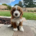 Mark Hrycyk - Facebook