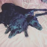 mark huband - @mark_huband - Instagram