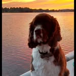 Mark Hubble - @hubble1977 - Instagram