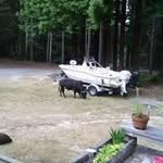 Mark Huber - @mark.huber.503 - Instagram