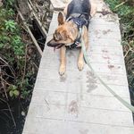 Mark Huckaby - @huckaby_mark - Instagram