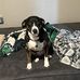 Mark Huerta - Facebook