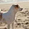 markhuett833 - @markhuett833 - TikTok
