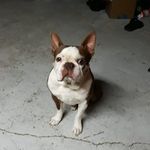 mark hughey - @m.hughey - Instagram