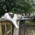 Mark Hulett - Facebook