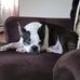 Mark Hulings - Facebook