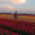 Mark Hulsebosch - Facebook