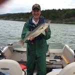Mark G Hulst - @markghulst - Instagram