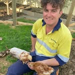 Mark Hulston - @mark_hulston - Instagram