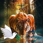 Mark Humberstone - @jmhumberstone71 - Instagram