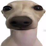 @markhumeniuk140 - Instagram