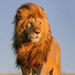 Mark Hunkele - @mark.hunkele.73 - Instagram