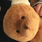 mark - @mark_hunkeler64 - Instagram