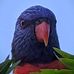Mark Huppert - Facebook
