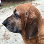 Mark Hurt - @boonedoggy - Instagram