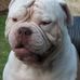 Mark Huth - Facebook