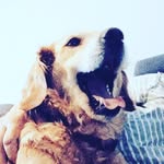 Mark Huth - @markhuth2020 - Instagram